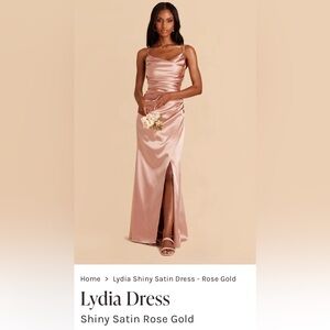 Birdy Grey Lydia Dress - Brand New